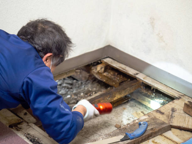 Best Crawl Space Mold Removal  in Simpson, PA