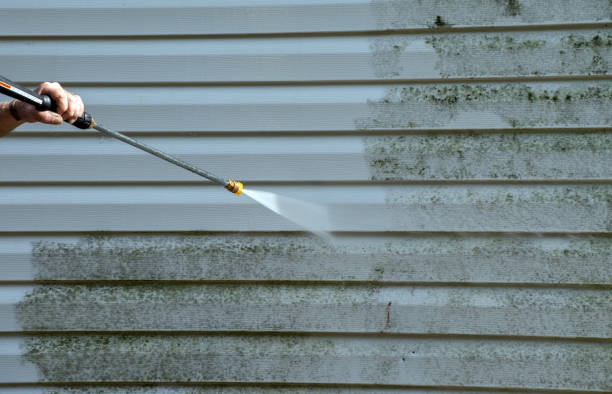 Best Local Mold Removal Service  in Simpson, PA