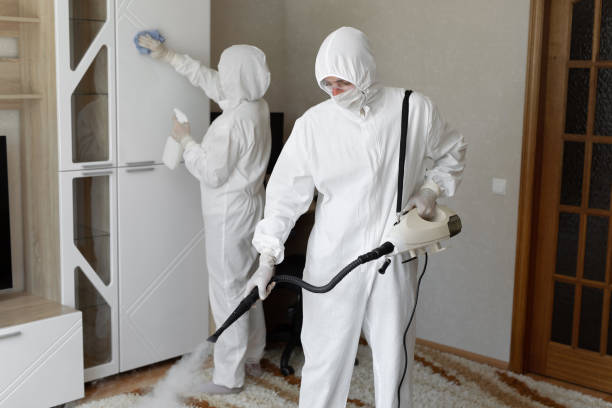 Best Toxic Mold Removal  in Simpson, PA