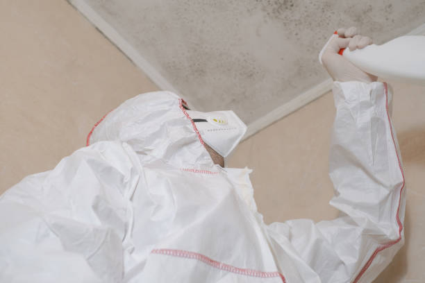 Best Emergency Mold Removal  in Simpson, PA