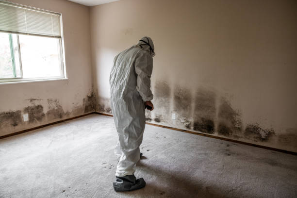 Best Certified Mold Removal  in Simpson, PA